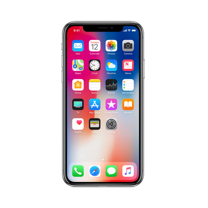 iPhone X 256 GB