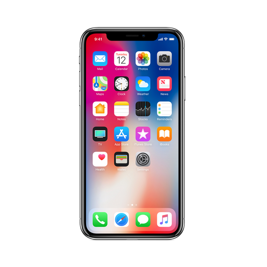 iPhone X 256 GB